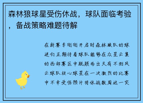 森林狼球星受伤休战，球队面临考验，备战策略难题待解